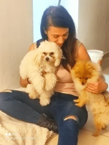 פנסיון ביתי, פנסיון מסורתי לכלבים, פנסיון לכלבים